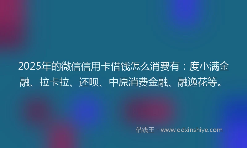 2025年的微信信用卡借钱怎么消费有：度小满金融、拉卡拉、还呗、中原消费金融、融逸花等。