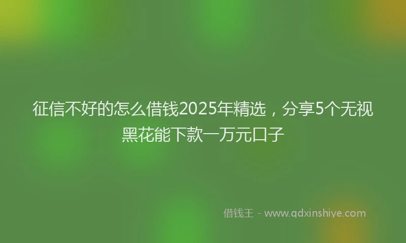 征信不好的怎么借钱2025年精选，分享5个无视黑花能下款一万元口子