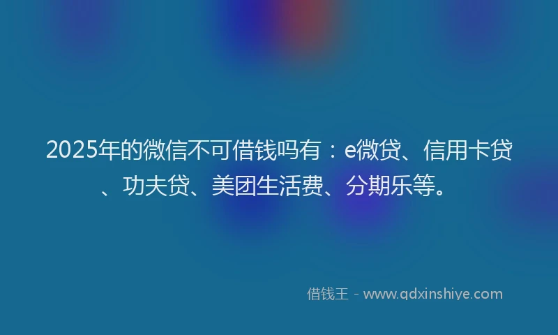 2025年的微信不可借钱吗有：e微贷、信用卡贷、功夫贷、美团生活费、分期乐等。