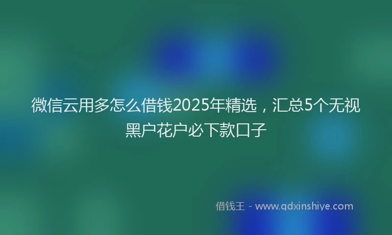 微信云用多怎么借钱2025年精选，汇总5个无视黑户花户必下款口子
