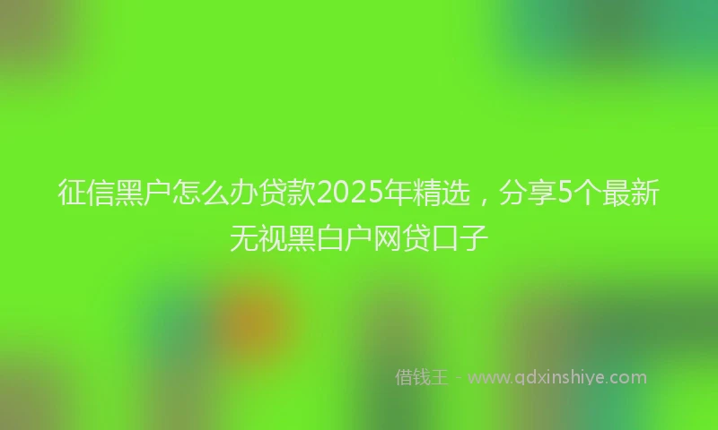 征信黑户怎么办贷款2025年精选，分享5个最新无视黑白户网贷口子