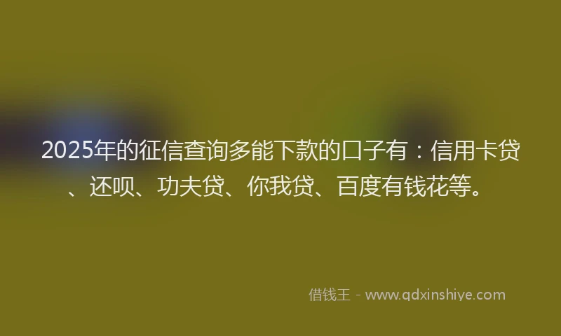 2025年的征信查询多能下款的口子有：信用卡贷、还呗、功夫贷、你我贷、百度有钱花等。