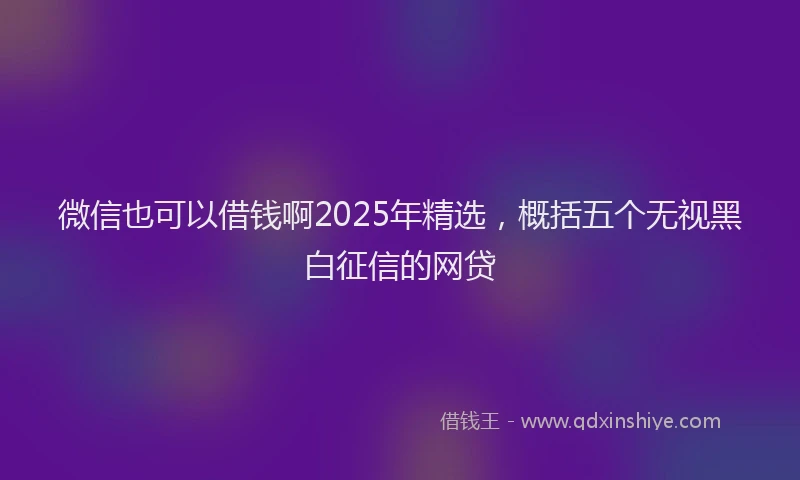 微信也可以借钱啊2025年精选，概括五个无视黑白征信的网贷