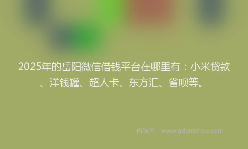 2025年的岳阳微信借钱平台在哪里有：小米贷款、洋钱罐、超人卡、东方汇、省呗等。