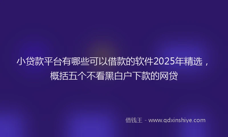 小贷款平台有哪些可以借款的软件2025年精选，概括五个不看黑白户下款的网贷