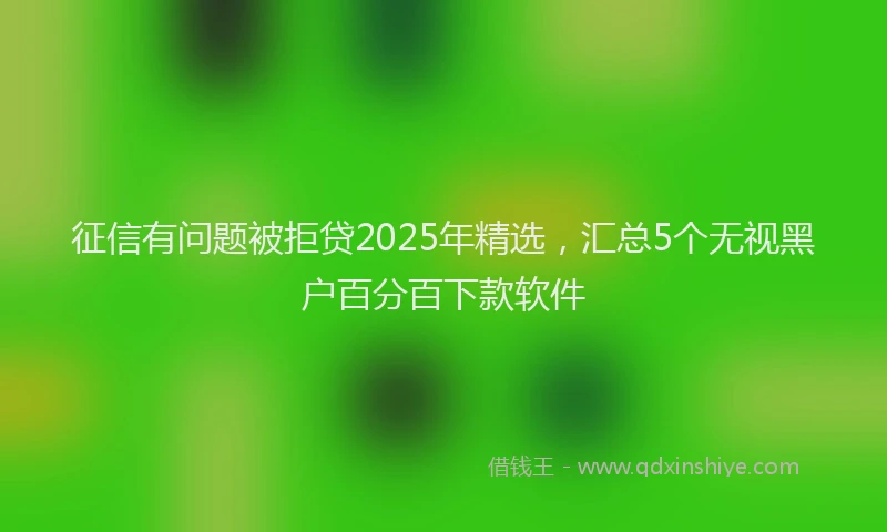 征信有问题被拒贷2025年精选，汇总5个无视黑户百分百下款软件