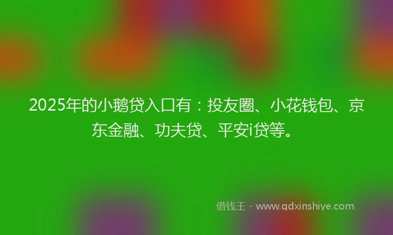 2025年的小鹅贷入口有：投友圈、小花钱包、京东金融、功夫贷、平安i贷等。