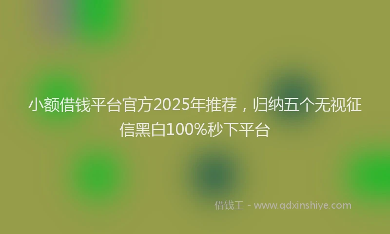 小额借钱平台官方2025年推荐，归纳五个无视征信黑白100%秒下平台
