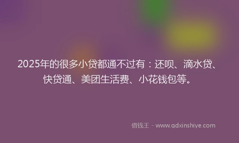 2025年的很多小贷都通不过有：还呗、滴水贷、快贷通、美团生活费、小花钱包等。