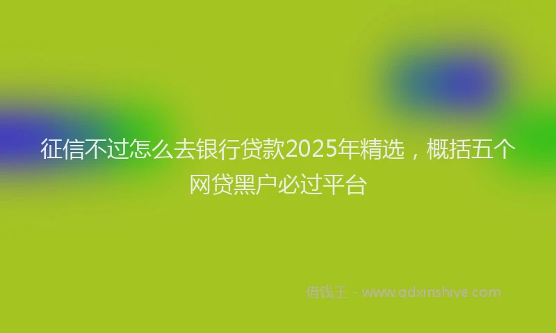 征信不过怎么去银行贷款2025年精选，概括五个网贷黑户必过平台
