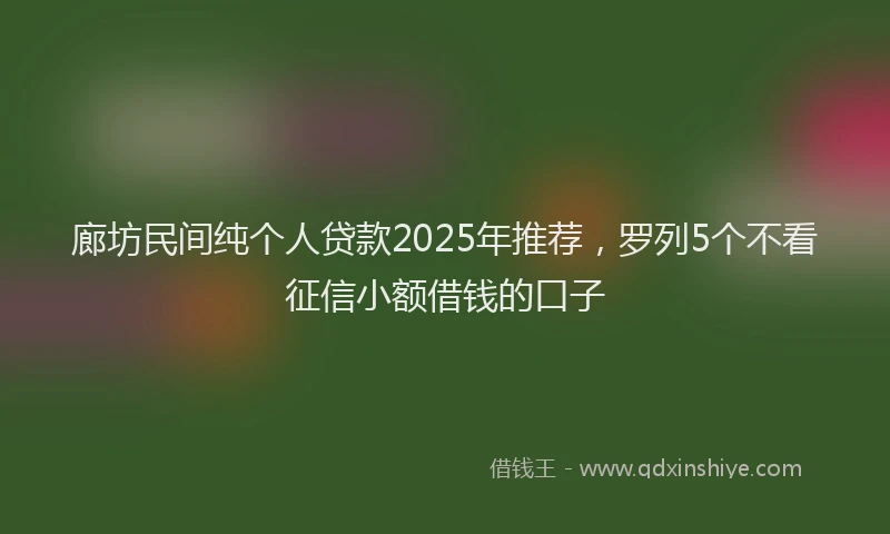 廊坊民间纯个人贷款2025年推荐，罗列5个不看征信小额借钱的口子