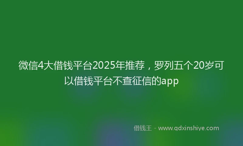 微信4大借钱平台2025年推荐，罗列五个20岁可以借钱平台不查征信的app
