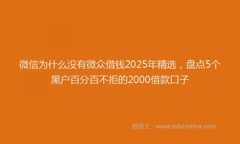 微信为什么没有微众借钱2025年精选，盘点5个黑户百分百不拒的2000借款口子