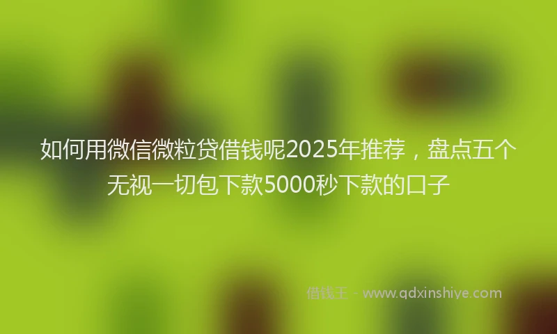 如何用微信微粒贷借钱呢2025年推荐，盘点五个无视一切包下款5000秒下款的口子
