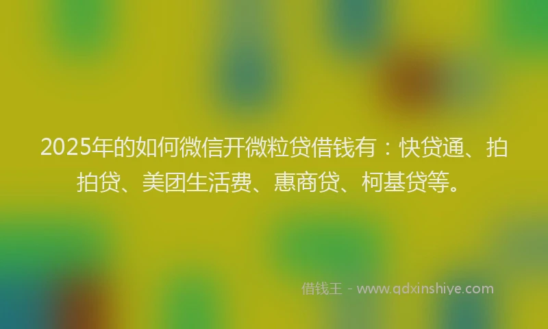 2025年的如何微信开微粒贷借钱有：快贷通、拍拍贷、美团生活费、惠商贷、柯基贷等。