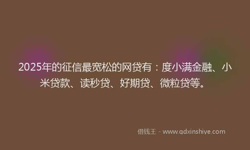 2025年的征信最宽松的网贷有：度小满金融、小米贷款、读秒贷、好期贷、微粒贷等。