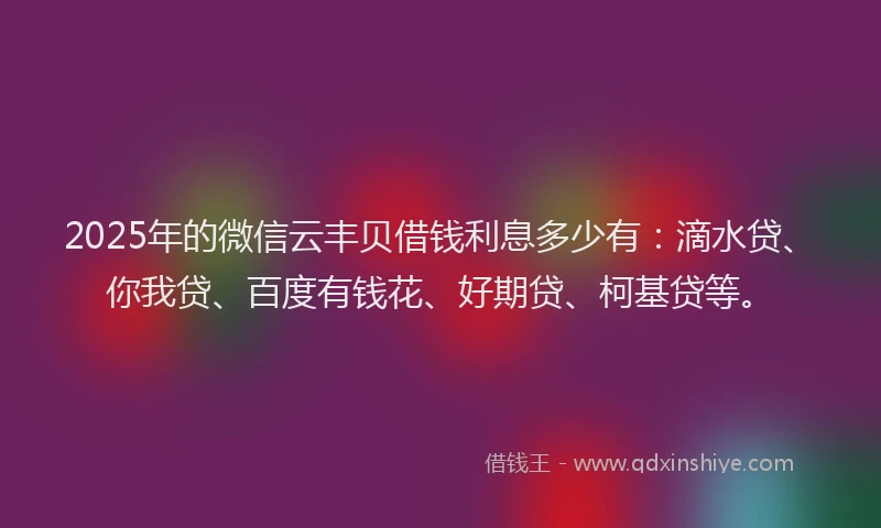 2025年的微信云丰贝借钱利息多少有：滴水贷、你我贷、百度有钱花、好期贷、柯基贷等。