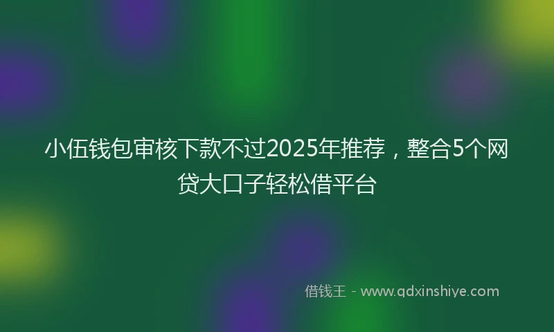 小伍钱包审核下款不过2025年推荐，整合5个网贷大口子轻松借平台
