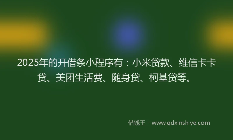 2025年的开借条小程序有：小米贷款、维信卡卡贷、美团生活费、随身贷、柯基贷等。