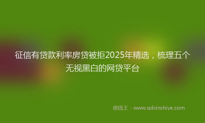 征信有贷款利率房贷被拒2025年精选，梳理五个无视黑白的网贷平台