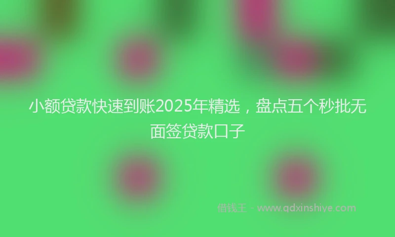 小额贷款快速到账2025年精选，盘点五个秒批无面签贷款口子