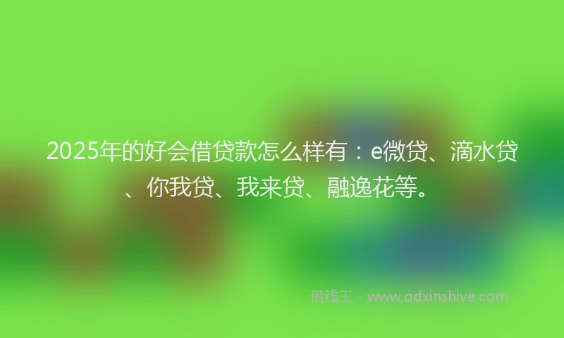 2025年的好会借贷款怎么样有：e微贷、滴水贷、你我贷、我来贷、融逸花等。