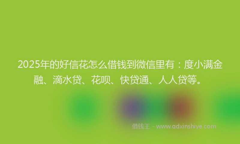 2025年的好信花怎么借钱到微信里有：度小满金融、滴水贷、花呗、快贷通、人人贷等。