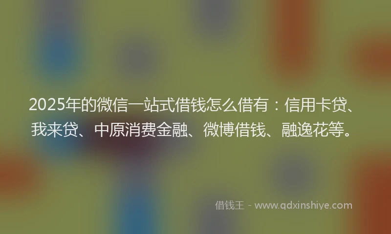 2025年的微信一站式借钱怎么借有：信用卡贷、我来贷、中原消费金融、微博借钱、融逸花等。