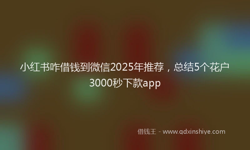 小红书咋借钱到微信2025年推荐，总结5个花户3000秒下款app