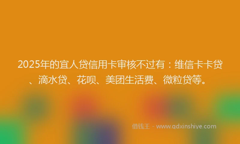 2025年的宜人贷信用卡审核不过有：维信卡卡贷、滴水贷、花呗、美团生活费、微粒贷等。