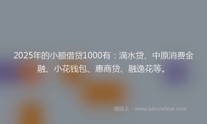 2025年的小额借贷1000有：滴水贷、中原消费金融、小花钱包、惠商贷、融逸花等。