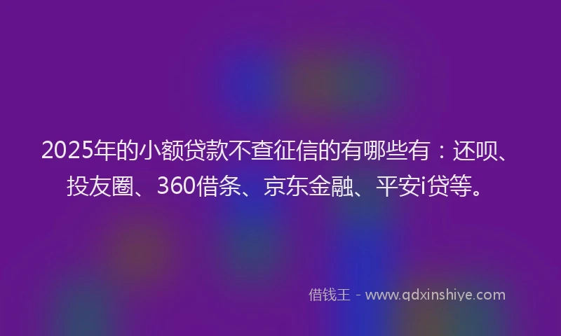 2025年的小额贷款不查征信的有哪些有：还呗、投友圈、360借条、京东金融、平安i贷等。