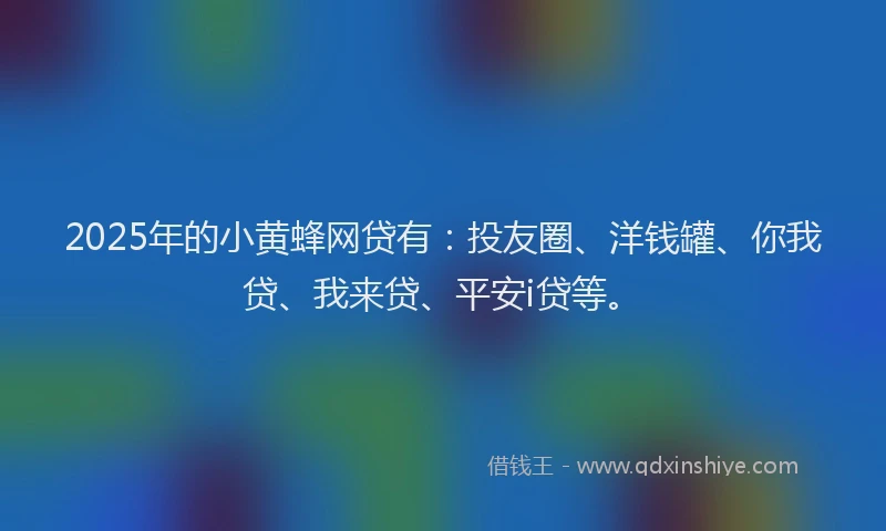 2025年的小黄蜂网贷有：投友圈、洋钱罐、你我贷、我来贷、平安i贷等。