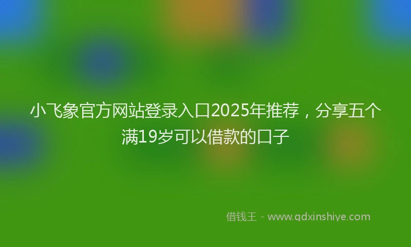 小飞象官方网站登录入口2025年推荐，分享五个满19岁可以借款的口子