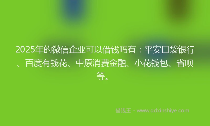 2025年的微信企业可以借钱吗有：平安口袋银行、百度有钱花、中原消费金融、小花钱包、省呗等。