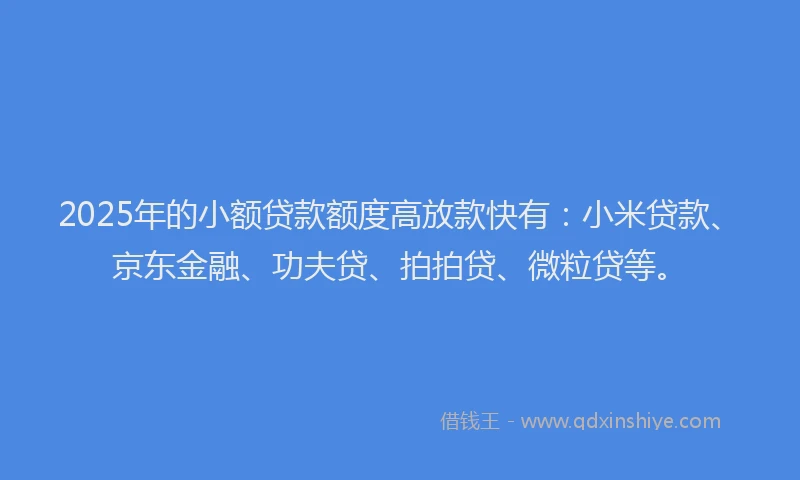 2025年的小额贷款额度高放款快有：小米贷款、京东金融、功夫贷、拍拍贷、微粒贷等。