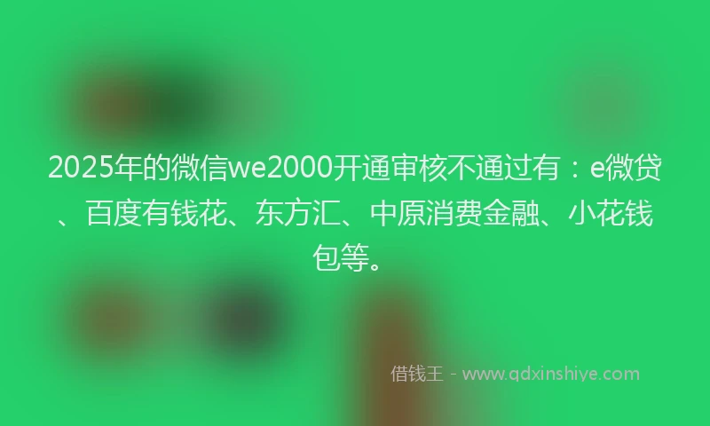 2025年的微信we2000开通审核不通过有：e微贷、百度有钱花、东方汇、中原消费金融、小花钱包等。