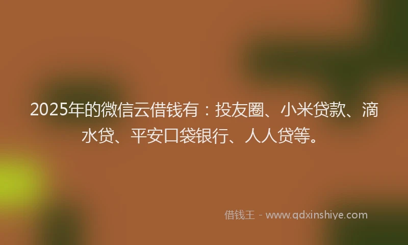 2025年的微信云借钱有：投友圈、小米贷款、滴水贷、平安口袋银行、人人贷等。