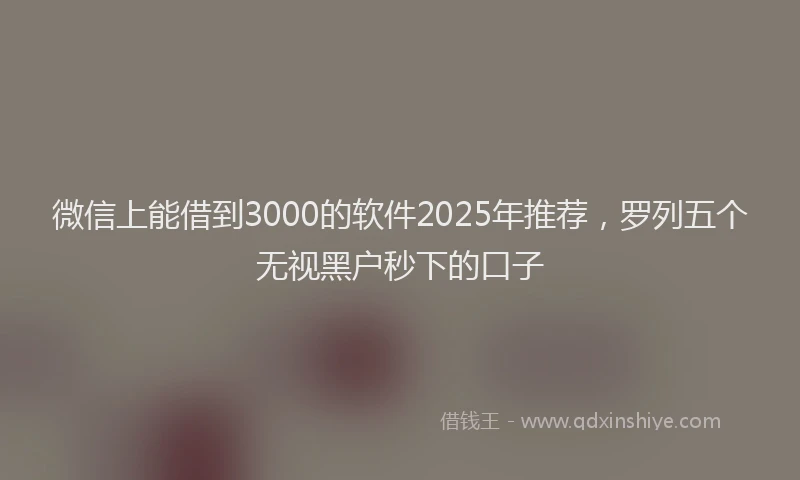 微信上能借到3000的软件2025年推荐，罗列五个无视黑户秒下的口子