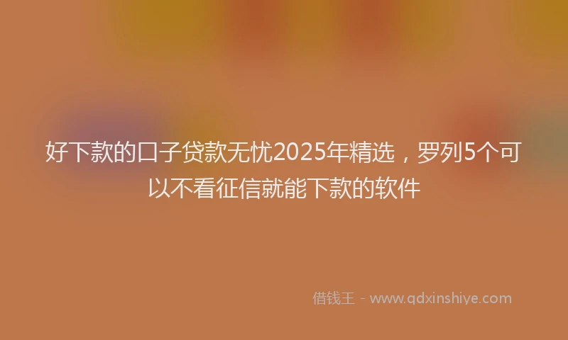 好下款的口子贷款无忧2025年精选，罗列5个可以不看征信就能下款的软件