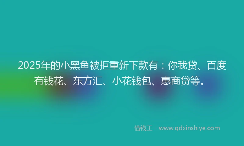 2025年的小黑鱼被拒重新下款有：你我贷、百度有钱花、东方汇、小花钱包、惠商贷等。
