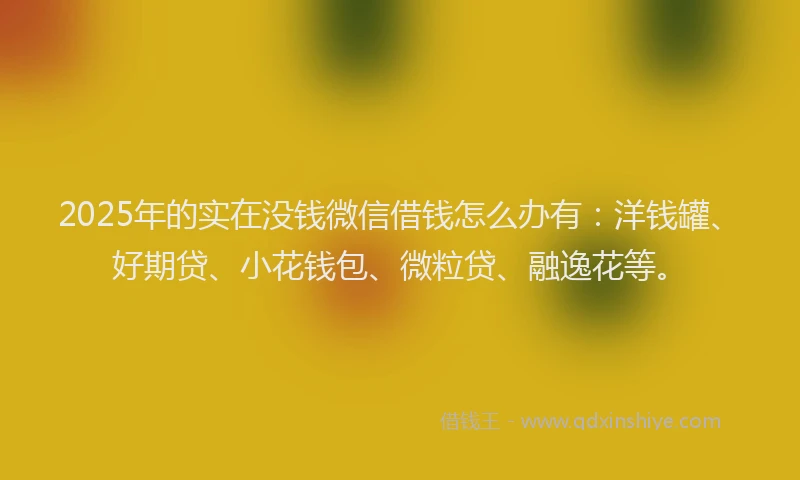 2025年的实在没钱微信借钱怎么办有：洋钱罐、好期贷、小花钱包、微粒贷、融逸花等。