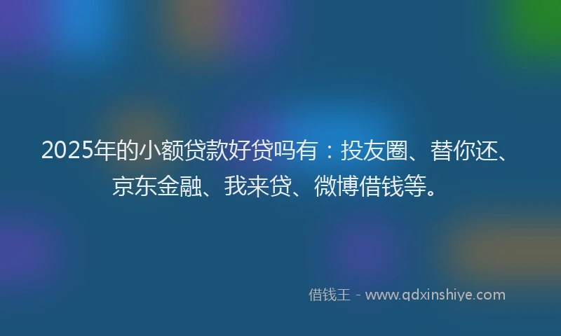 2025年的小额贷款好贷吗有：投友圈、替你还、京东金融、我来贷、微博借钱等。