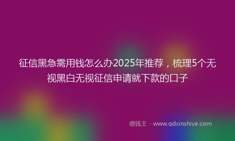 征信黑急需用钱怎么办2025年推荐，梳理5个无视黑白无视征信申请就下款的口子