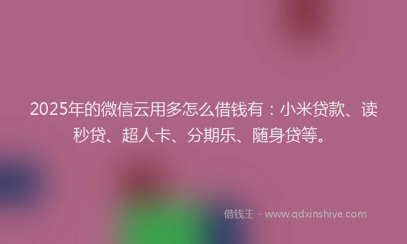 2025年的微信云用多怎么借钱有：小米贷款、读秒贷、超人卡、分期乐、随身贷等。
