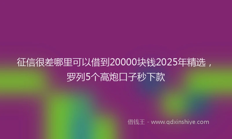 征信很差哪里可以借到20000块钱2025年精选，罗列5个高炮口子秒下款