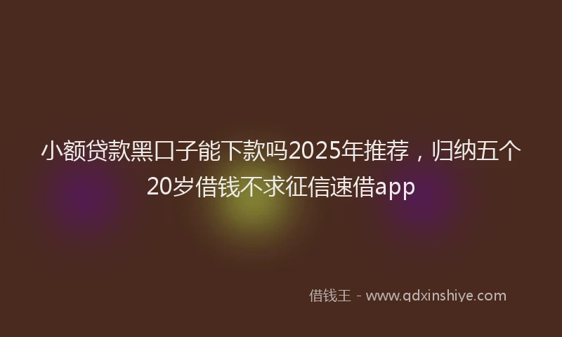 小额贷款黑口子能下款吗2025年推荐，归纳五个20岁借钱不求征信速借app