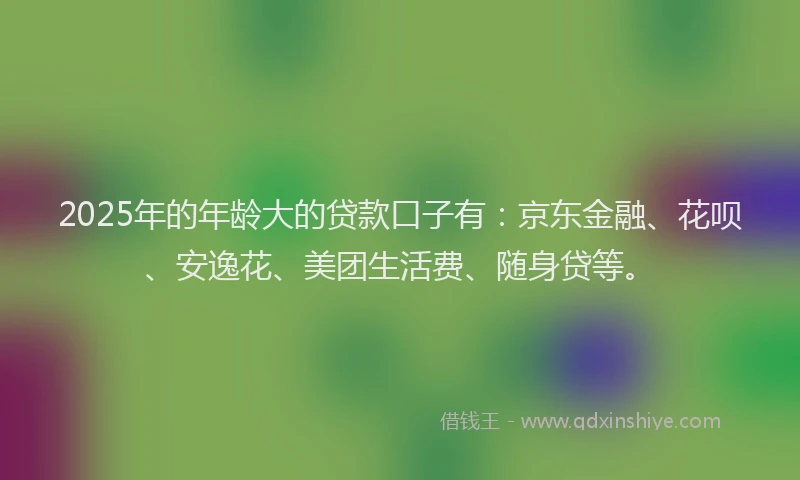 2025年的年龄大的贷款口子有：京东金融、花呗、安逸花、美团生活费、随身贷等。