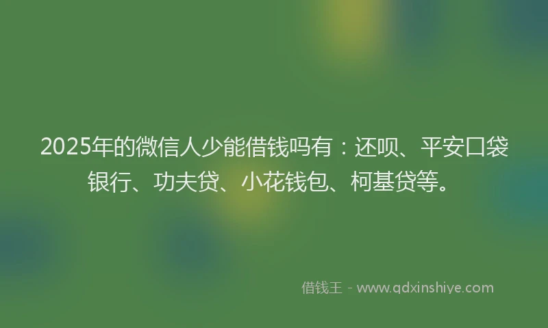 2025年的微信人少能借钱吗有：还呗、平安口袋银行、功夫贷、小花钱包、柯基贷等。