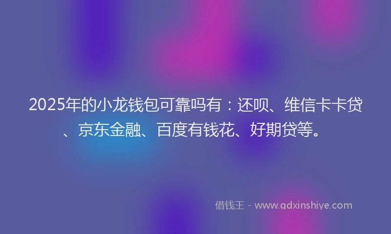 2025年的小龙钱包可靠吗有：还呗、维信卡卡贷、京东金融、百度有钱花、好期贷等。